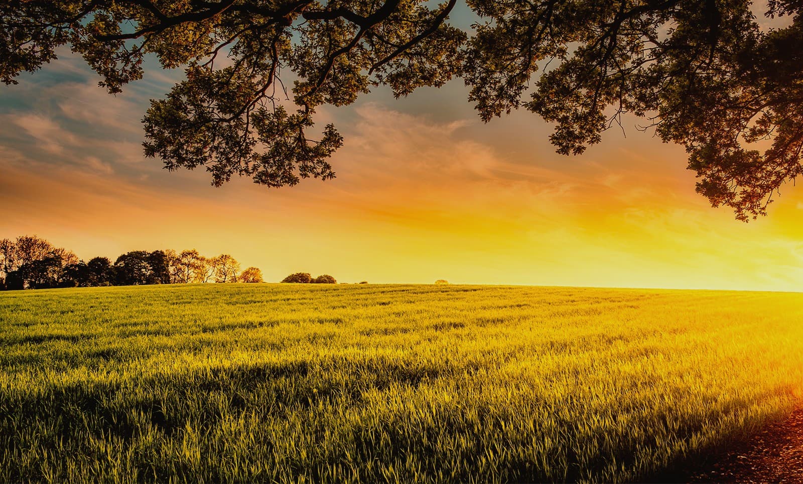 Agri-Investment Projects